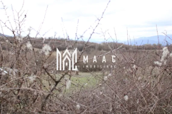 Oportunități de Investiție în Terenuri Sebesul de Sus