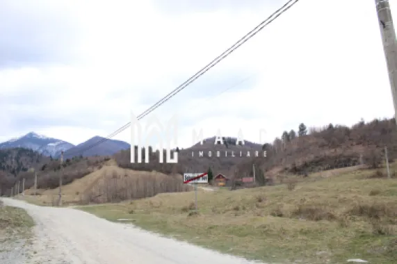 Logo MAAC IMOBILIARE logo