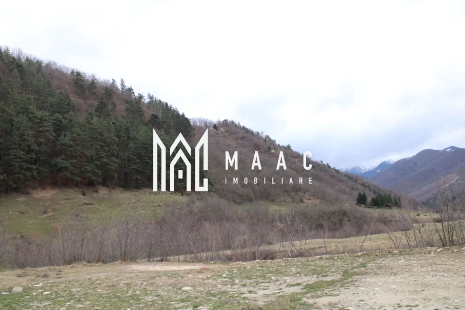 Pământ I Fereastră către Eternitate în Transilvania - MAAC Imobiliare va propune spre vanzare - Un Pământ al Visurilor: O Fereastră către Eternitate în Inima Transilvaniei Parcelele sunt dupa cum urmeaza: - 1 parcela 820 metri pătrați cu toate facilitatile pe proprietate; - 1 parcela 5000 metri patrati cu toate facilitatile la poartă; - 1 parcela 1100 metri patrati cu facilitatile la 50 metri. În inima Transilvaniei, unde dealurile se întind ca o mână verde către zare, se află un teren care nu este doar un lot, ci o fereastră către eternitate. Este amplasatla iesirea din sat spre poteca care urca lin spre Varful Suru, Un Loc de Echilibru Perfect Aici, utilitățile moderne sunt la un pas, iar dezvoltarea înflorește în jur, dar priveliștea rămâne o poveste veche, scrisă de munți și văzduh. Terenul, perfect plan și generos, se întinde pe o lățime de 20 de metri la drum, ca o poartă larg deschisă, și se pierde în adâncime pe 200 de metri, oferind spațiu pentru vise la scară mare. Accesul la DN1 este instantaneu, legând liniștea pastorală a locului de pulsația vibrantă a țării. Comoara Priveliștii Dar adevărata comoară stă sus. De pe acest loc, ochiul cuprinde o panoramă care taie răsuflarea. În depărtare, mândri și nepăsători, Munții Făgărașului își înșiră crestele ascuțite împotriva cerului. Vârful Suru pare atât de aproape, încât ai impresia că poți să întinzi mâna și să atingi zăpada veșnică de pe culmile lui. În zori, soarele îmbrățișează primeroasele în nuanțe de aur și roz, iar în amurg, silueta masivă a munților se decupează în negru profund pe fundalul unei sfârșituri de zi în flăcări. Mai Mult Decât un Teren Acest teren nu este doar un loc pentru a construi o casă; este un piedestal pentru a construi o viață. Este un loc unde te poți trezi cu răsăritul în fereastră și unde liniștea de la poalele munților îți șoptește povești de vitejie și frumusețe pură. Este o promisiune: de a te bucura de confortul și conexiunea civilizației, având rețeaua rutieră principală la picior, în timp ce păstrezi, mereu sub ochi, măreția nestemată și liniștea atotcuprinzătoare a Făgărașilor. MAAC Imobiliare – Construim mai mult decât case, construim legături cu eternitatea. Pentru a transforma această viziune în realitatea dumneavoastră, vă rugăm să ne contactați telefonic, menționând că ați văzut anunțul cu ID: CP2983808. }}