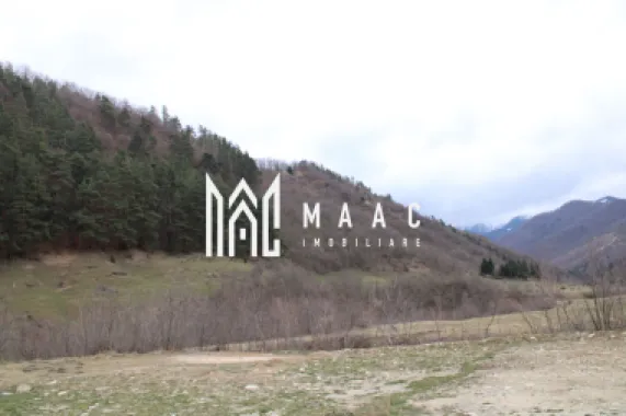 Pământ I Fereastră către Eternitate în Transilvania