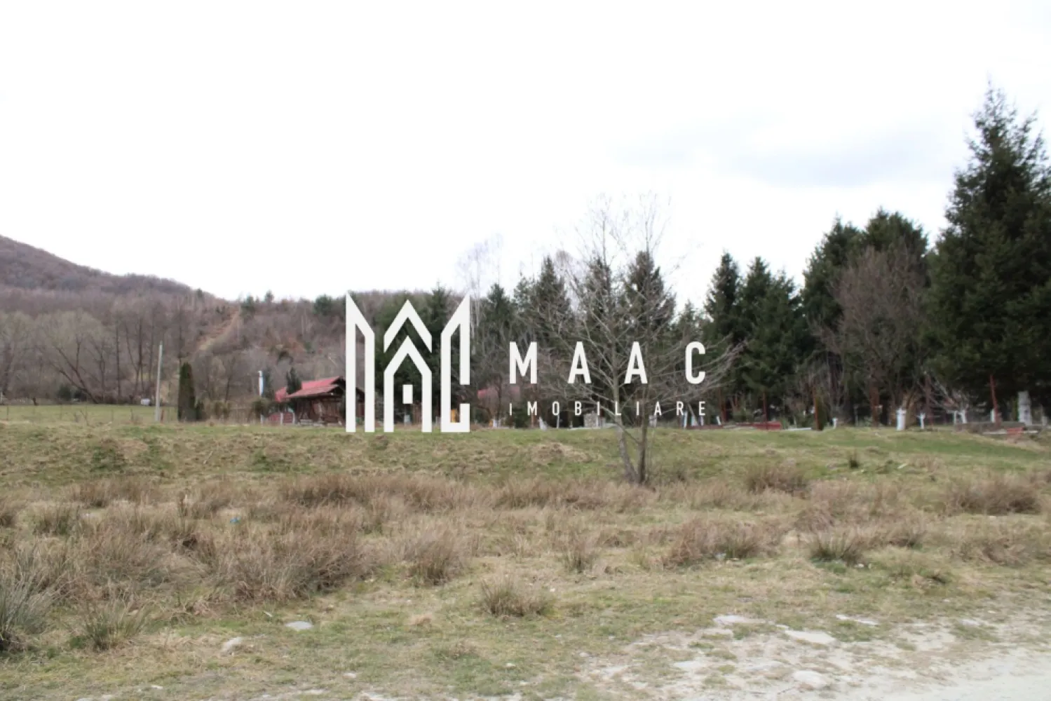 Pământ I Fereastră către Eternitate în Transilvania - MAAC Imobiliare va propune spre vanzare - Un Pământ al Visurilor: O Fereastră către Eternitate în Inima Transilvaniei Parcelele sunt dupa cum urmeaza: - 1 parcela 820 metri pătrați cu toate facilitatile pe proprietate; - 1 parcela 5000 metri patrati cu toate facilitatile la poartă; - 1 parcela 1100 metri patrati cu facilitatile la 50 metri. În inima Transilvaniei, unde dealurile se întind ca o mână verde către zare, se află un teren care nu este doar un lot, ci o fereastră către eternitate. Este amplasatla iesirea din sat spre poteca care urca lin spre Varful Suru, Un Loc de Echilibru Perfect Aici, utilitățile moderne sunt la un pas, iar dezvoltarea înflorește în jur, dar priveliștea rămâne o poveste veche, scrisă de munți și văzduh. Terenul, perfect plan și generos, se întinde pe o lățime de 20 de metri la drum, ca o poartă larg deschisă, și se pierde în adâncime pe 200 de metri, oferind spațiu pentru vise la scară mare. Accesul la DN1 este instantaneu, legând liniștea pastorală a locului de pulsația vibrantă a țării. Comoara Priveliștii Dar adevărata comoară stă sus. De pe acest loc, ochiul cuprinde o panoramă care taie răsuflarea. În depărtare, mândri și nepăsători, Munții Făgărașului își înșiră crestele ascuțite împotriva cerului. Vârful Suru pare atât de aproape, încât ai impresia că poți să întinzi mâna și să atingi zăpada veșnică de pe culmile lui. În zori, soarele îmbrățișează primeroasele în nuanțe de aur și roz, iar în amurg, silueta masivă a munților se decupează în negru profund pe fundalul unei sfârșituri de zi în flăcări. Mai Mult Decât un Teren Acest teren nu este doar un loc pentru a construi o casă; este un piedestal pentru a construi o viață. Este un loc unde te poți trezi cu răsăritul în fereastră și unde liniștea de la poalele munților îți șoptește povești de vitejie și frumusețe pură. Este o promisiune: de a te bucura de confortul și conexiunea civilizației, având rețeaua rutieră principală la picior, în timp ce păstrezi, mereu sub ochi, măreția nestemată și liniștea atotcuprinzătoare a Făgărașilor. MAAC Imobiliare – Construim mai mult decât case, construim legături cu eternitatea. Pentru a transforma această viziune în realitatea dumneavoastră, vă rugăm să ne contactați telefonic, menționând că ați văzut anunțul cu ID: CP2983808. }}