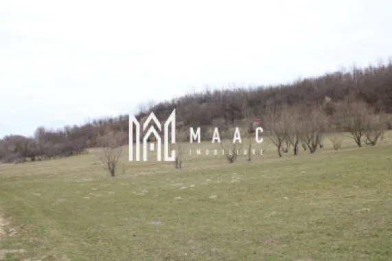 Pământ I Fereastră către Eternitate în Transilvania