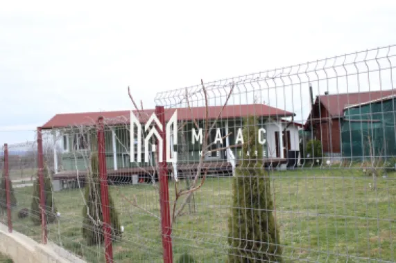 Pământ I Fereastră către Eternitate în Transilvania