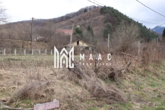 Pământ I Fereastră către Eternitate în Transilvania