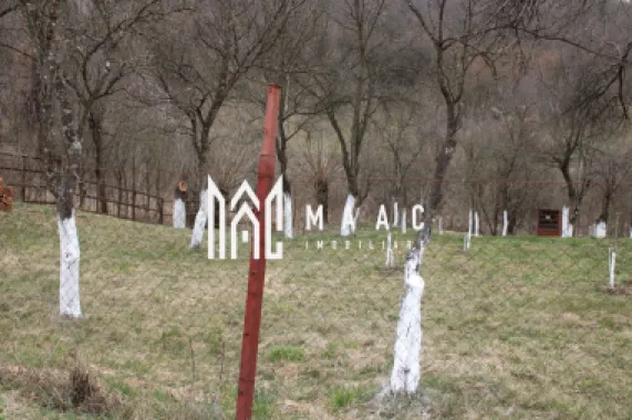 Pământ I Fereastră către Eternitate în Transilvania