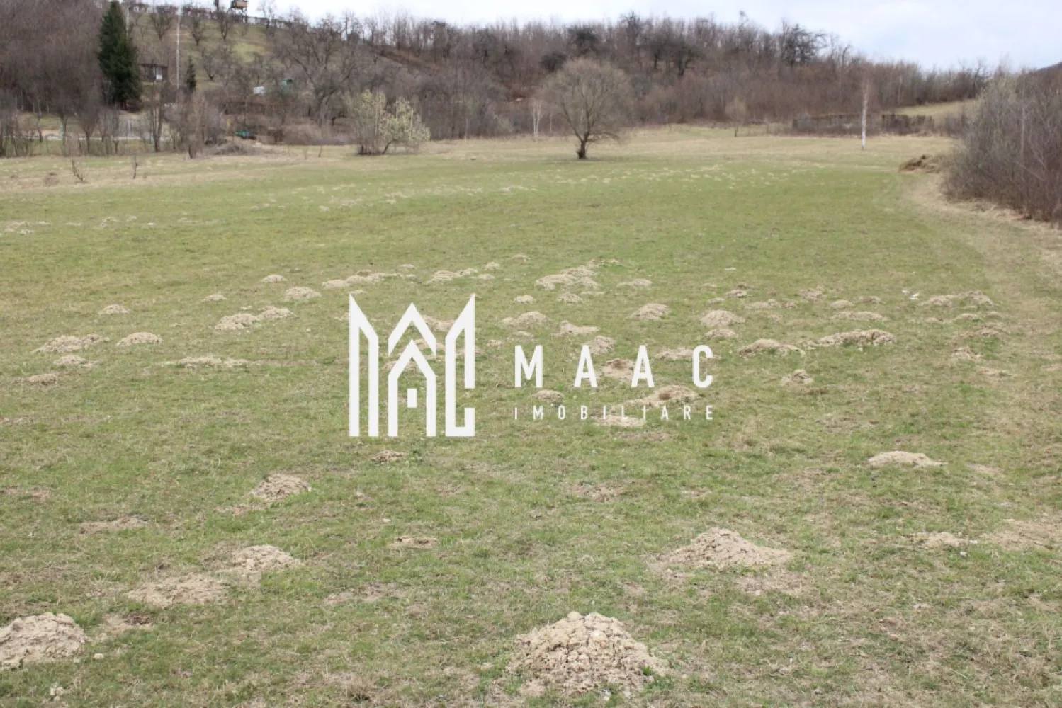 Pământ I Fereastră către Eternitate în Transilvania