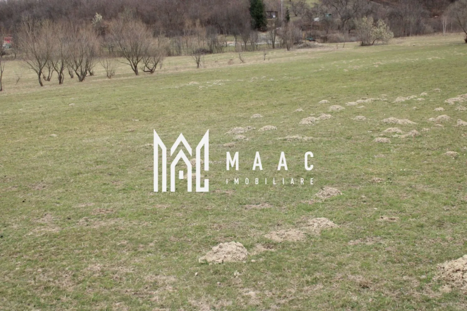 Pământ I Fereastră către Eternitate în Transilvania