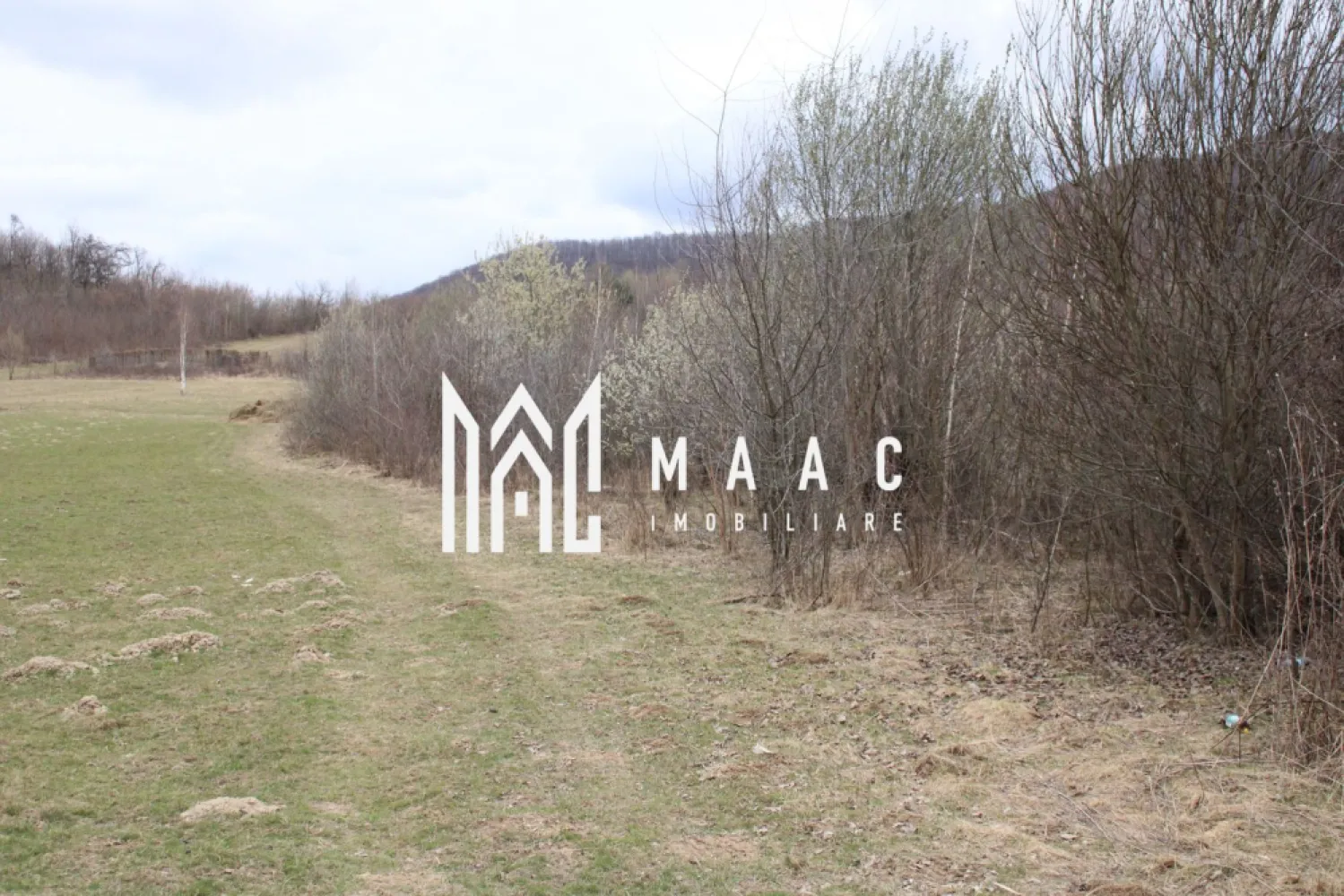 Pământ I Fereastră către Eternitate în Transilvania