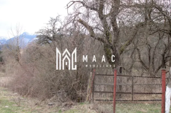 Pământ I Fereastră către Eternitate în Transilvania