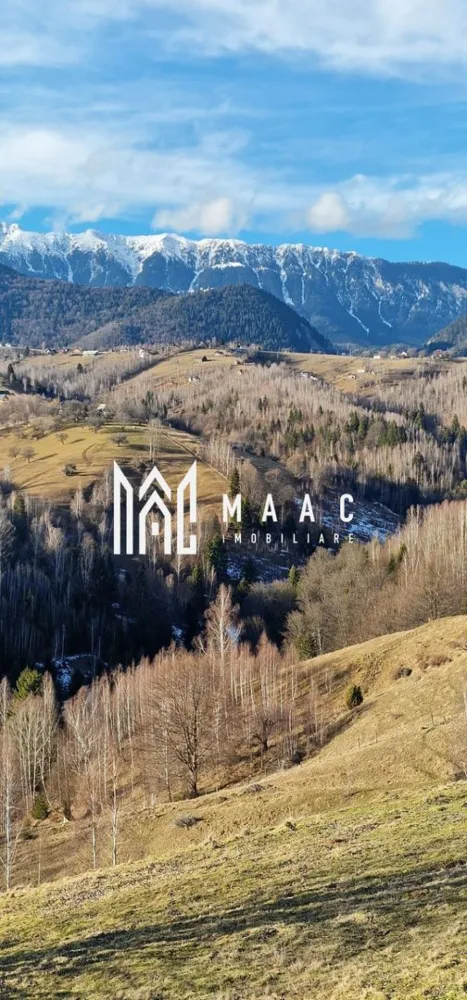 Refugiu în Inima Munților I Casa in Moeciu I Bran