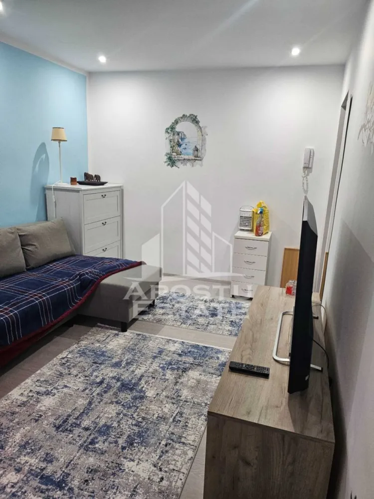 Apartament cu 1 camere de inchiriat, petfriendly, Buziasului,Timisoara - Agentia imobiliara APOSTU ESTATE va propune spre inchiriere un apartament cu 1 camere, spatios si luminos, situat in zona Buziasului, o zona linistita si bine pozitionata din Timisoara, potrivit pentru cupluri sau studenti care isi doresc o locuinta unde sa se simta confortabil si cu acces facil catre scoli, statii de autobuz, supermarketuri , magazine de zona, parcuri.

Suprafata utila: 22 mp
Compartimentare eficienta:
-Hol de acces 
-Bucatarie complet mobilata si utilata
-Dormitor mobilat si utilat
-Baie prevazuta cu dus

Confort si facilitati:
-Incalzirea apartamentului: colterm
-Apartamentul este complet mobilat si utilat
-Se accepta animale de companie de catre proprietar

Localizare:
-Timis,Timisoara, zona Buziasului– acces facil spre magazine, scoli, parcuri si mijloace de transport in comun.

Ideal pentru:
-Cupluri
-Studenti

Disponibilitate: imediata
Pret chirie lunara: 250 euro ( usor negociabil)
Programeaza o vizionare pentru a-ti putea imagina viitorul aici!
ID intern: CP3213203