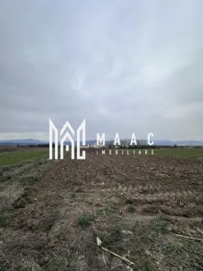 Logo MAAC IMOBILIARE logo