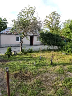 Descriere Super ofertă Doar luna iulie!!!  Casă 3 camere ,bucatarie + 1000 mp teren | Singureni Stejaru | 27 km de București Se vinde casă bătrâneasc