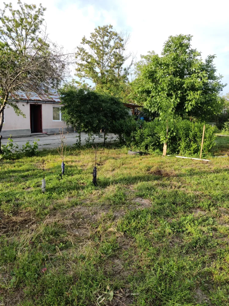 Descriere Super ofertă Doar luna iulie!!!  Casă 3 camere ,bucatarie + 1000 mp teren | Singureni Stejaru | 27 km de București Se vinde casă bătrâneasc - Descriere Super ofertă Doar luna iulie!!!&nbsp;Casă 3 camere ,bucatarie + 1000 mp teren | Singureni Stejaru | 27 km de BucureștiSe vinde casă bătrânească , situată în comuna Singureni, sat Stejaru, la doar 27 km de București ideală pentru locuit sau casă de vacanță.Teren: 1000 mpDeschidere: 25 mlDrum asfaltat în fața proprietății și acces auto în curteCompartimentare:3 camereHolBucătărieDuș cu boilerDotări și îmbunătățiri:Sobe de teracotă în toate camereleSobă cu plită în bucătărieAer condiționatGeamuri termopanApă + curent electric2 puțuri proprii (hidrofor + cișmea)Curtea:Grădină îngrijităFloriAproximativ 25 pomi fructiferiPosibilitate parcare în curteZonă liniștită, aer curat, ideală pentru familie sau pentru cei care vor să scape de aglomerația orașului.Pentru detalii și vizionare: direct proprietarPreț:49000 euro discutabil,toate actele in regula,cadastru intabulare.Pentru mai multe detalii in privat. 0765097197