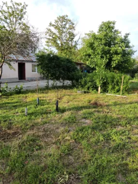 Descriere Super ofertă Doar luna iulie!!!  Casă 3 camere ,bucatarie + 1000 mp teren | Singureni Stejaru | 27 km de București Se vinde casă bătrâneasc