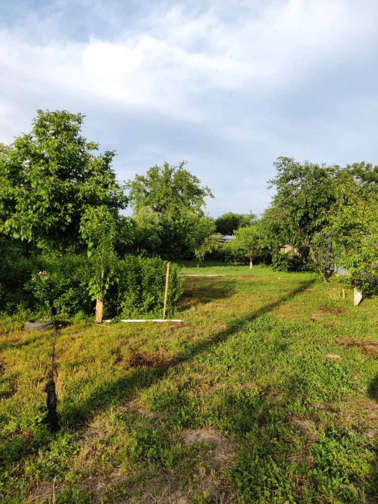 Descriere Super ofertă Doar luna iulie!!!  Casă 3 camere ,bucatarie + 1000 mp teren | Singureni Stejaru | 27 km de București Se vinde casă bătrâneasc - Descriere Super ofertă Doar luna iulie!!!&nbsp;Casă 3 camere ,bucatarie + 1000 mp teren | Singureni Stejaru | 27 km de BucureștiSe vinde casă bătrânească , situată în comuna Singureni, sat Stejaru, la doar 27 km de București ideală pentru locuit sau casă de vacanță.Teren: 1000 mpDeschidere: 25 mlDrum asfaltat în fața proprietății și acces auto în curteCompartimentare:3 camereHolBucătărieDuș cu boilerDotări și îmbunătățiri:Sobe de teracotă în toate camereleSobă cu plită în bucătărieAer condiționatGeamuri termopanApă + curent electric2 puțuri proprii (hidrofor + cișmea)Curtea:Grădină îngrijităFloriAproximativ 25 pomi fructiferiPosibilitate parcare în curteZonă liniștită, aer curat, ideală pentru familie sau pentru cei care vor să scape de aglomerația orașului.Pentru detalii și vizionare: direct proprietarPreț:49000 euro discutabil,toate actele in regula,cadastru intabulare.Pentru mai multe detalii in privat. 0765097197