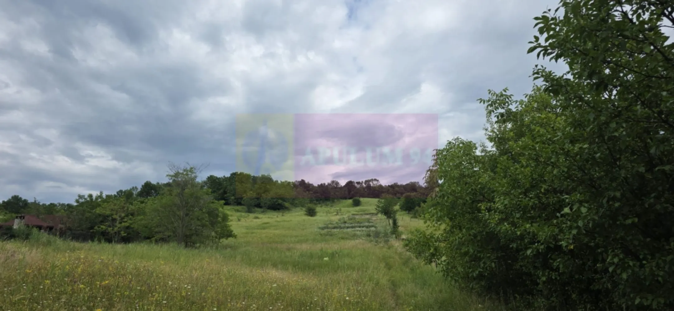 Teren de vanzare in Campina, Muscel - Teren intravilan de vânzare în Câmpina – Zona Muscel | 871 mp | Priveliște superbă

Agenția Imobiliară Mervani vă propune spre vânzare un teren intravilan situat în municipiul Câmpina, în zona Muscel – una dintre cele mai apreciate și căutate zone rezidențiale, recunoscută pentru liniște, aer curat și peisajele deosebite.

Proprietatea are o suprafață de 871 mp, la care se adaugă cotă parte din drumul de acces, fiind o alegere ideală pentru construirea unei case de vacanță sau a unei locuințe permanente într-un cadru natural deosebit.

Amplasarea pe Dealul Muscel oferă terenului un avantaj aparte: intimitate, panoramă spectaculoasă și deschidere către natură. Datorită poziției și înclinației naturale, viitoarea construcție poate beneficia de o arhitectură modernă, cu terase și suprafețe vitrate orientate către priveliște.

Accesul se realizează din strada publică asfaltată pe un drum de pământ privat, unde sunt amplasate 4 loturi de teren, primul lot fiind deja construit.

La strada principală se regăsesc toate utilitățile necesare:
- apă
- gaze naturale
- energie electrică
- canalizare
- CATV și internet

Zona Muscel este apreciată pentru vilele și casele deosebite, fiind una dintre zonele premium ale orașului Câmpina, potrivită pentru cei care caută liniște, confort și apropiere de natură.

O proprietate cu potențial ridicat, ideală pentru o casă cu vedere panoramică într-una dintre cele mai frumoase zone ale Câmpinei.
Agentia Imobiliara Mervani - 0729.935.536