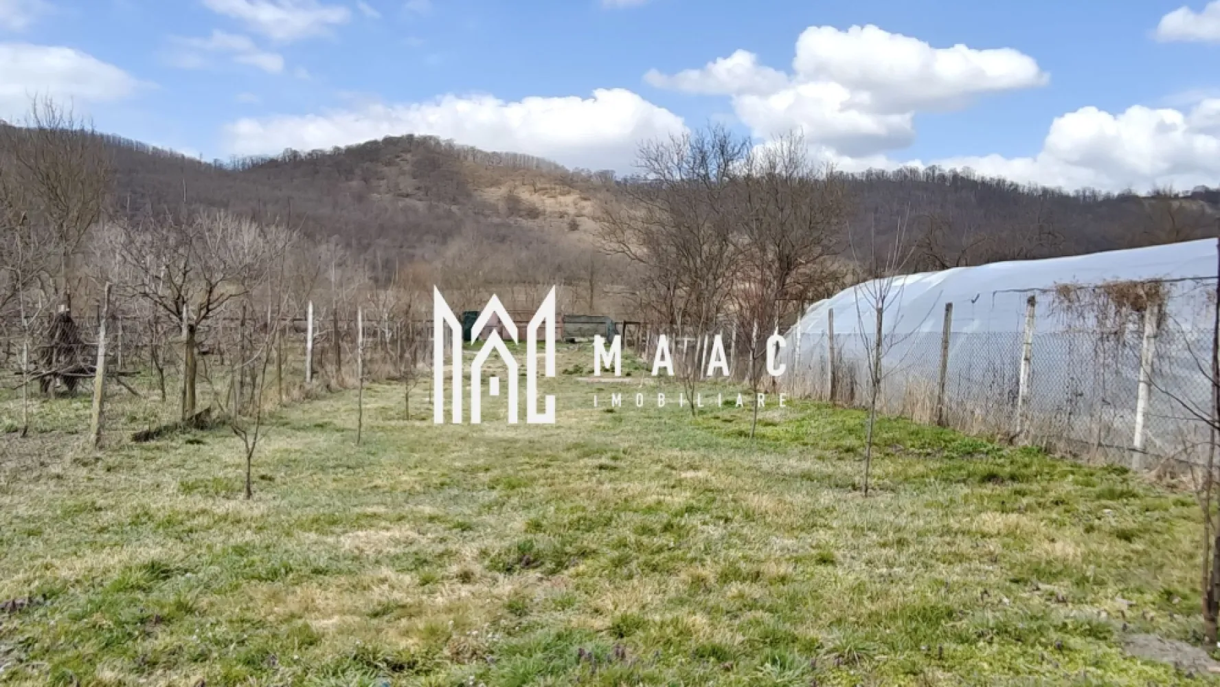 Casă 3 camere I Curte 814mp I Pivniță I Garaj I Axente Sever