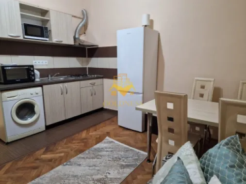 1 cameră, Central, Calea Motilor, UMF, USAMV, Zona Platinia