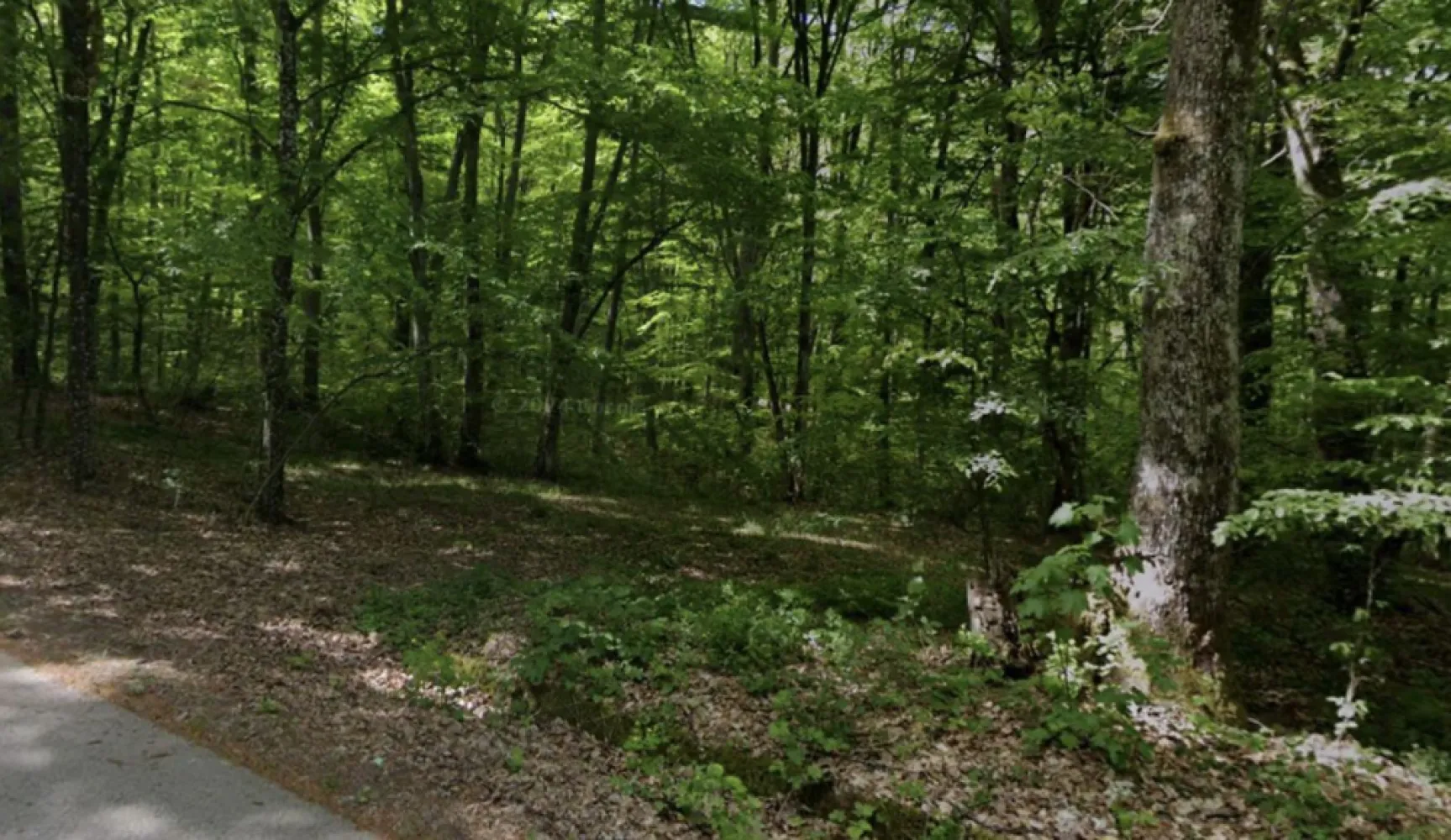 Teren extravilan, livada, Lăzăreni. 22 500 E. Comision 0 - De vânzare: teren extravilan, Lăzăreni, Bihor, livadă cu pruni, 4 480 mp. 22 500 E Comision 0. Terenul este situat la marginea pădurii, formă dreptunghi, având o ușoară pantă ceea ce îi oferă o priveliște deosebită asupra dealurilor din jur. Are acces auto din drumul asfaltat si este asigurată alimentarea cu energie electrică. Terenul este partial împrejmuit fiind amenajat ca livadă cu pruuni. Acte în regulă, la zi. }}