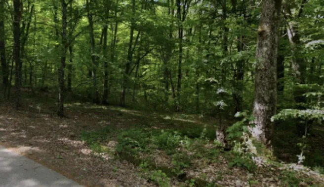 Teren extravilan, livada, Lăzăreni. 22 500 E. Comision 0