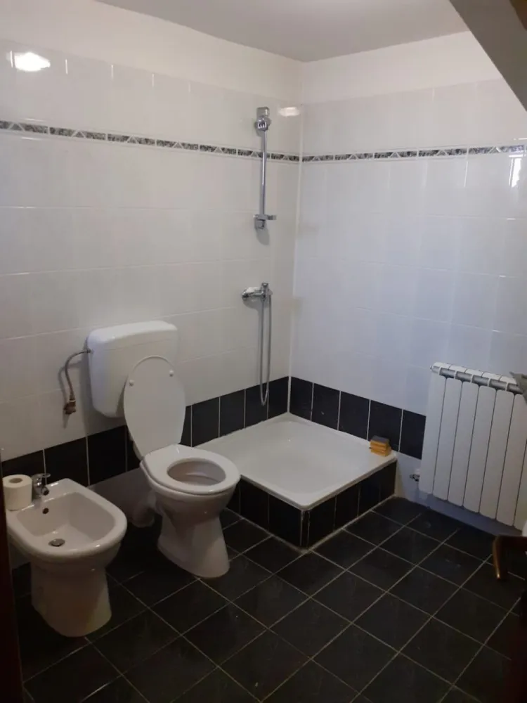 Casa insiruita, 2 dormitoare, garaj, Sanmartin. 120 000 E. Comision 0.