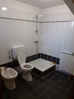 Casa insiruita, 2 dormitoare, garaj, Sanmartin. 120 000 E. Comision 0.