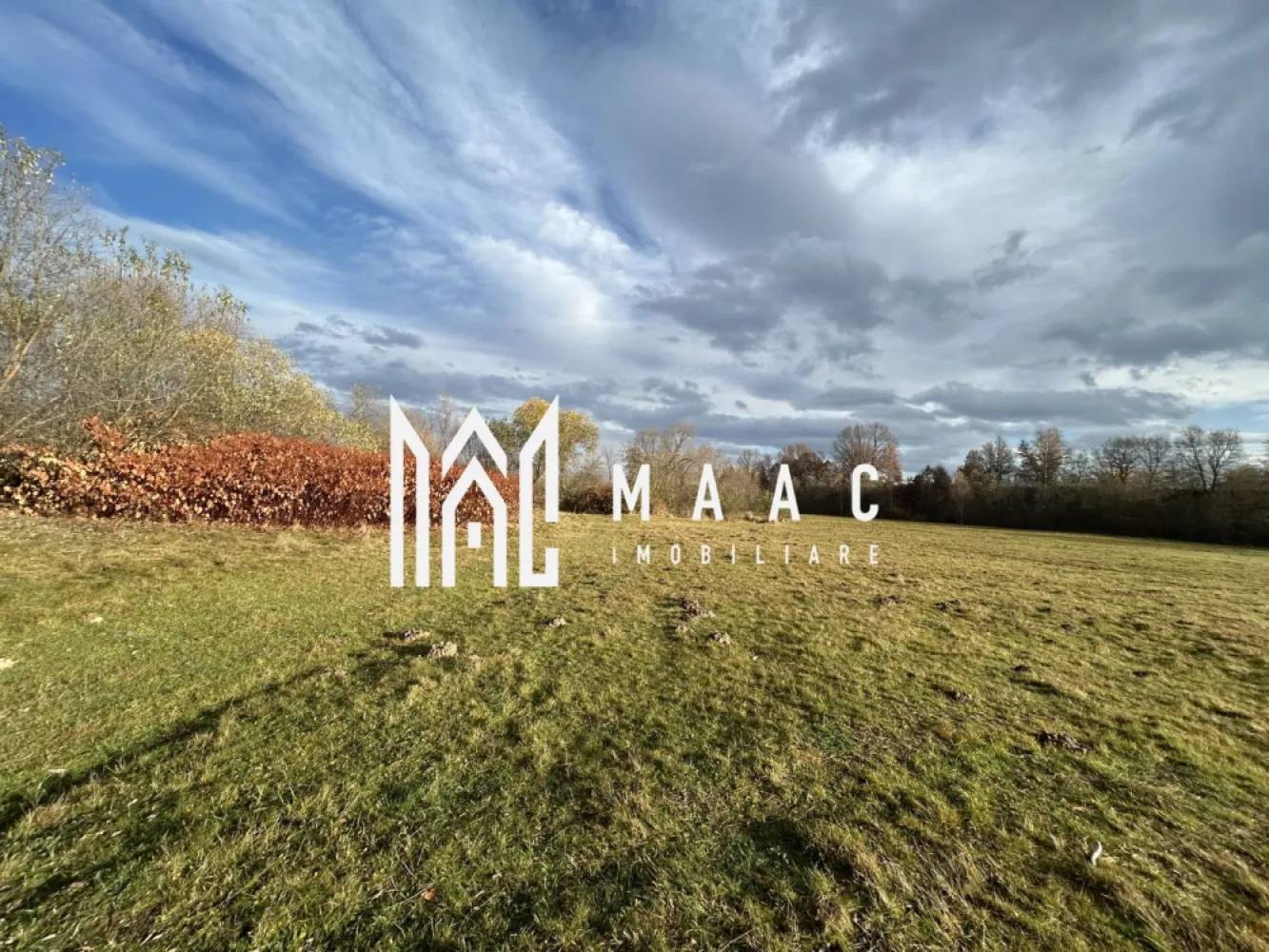 Teren cu potențial turistic I Cârțișoara I 1800 MP - MAAC Imobiliare vă propune spre vânzare un teren cu potențial turistic ridicat, situat în Cârțișoara, într-o zonă recunoscută pentru frumusețea naturală și proximitatea față de Munții Făgăraș. Caracteristici ale terenului: Suprafață totală: 1.800 mp Vedere spectaculoasă către Munții Făgăraș Pârâu la capătul proprietății, oferind un cadru natural deosebit Dublu acces auto, ideal pentru amenajare și proiecte turistice Utilități în apropiere 🌿 Destinație recomandată: Terenul este pretabil pentru dezvoltări turistice Poziționarea sa în zona turistică Cârțișoara, la poalele Transfăgărășanului, îi conferă un potențial excelent pentru investiție. Pentru mai multe detalii și vizionări, precizati telefonic ca ati vazut anuntul cu ID: CP2816364 }}