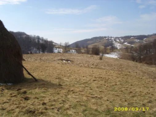 Teren intravilan Rosia, 12 000 mp, cu proiect aprobat. Comision 0.