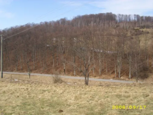 Teren intravilan Rosia, 12 000 mp, cu proiect aprobat. Comision 0.