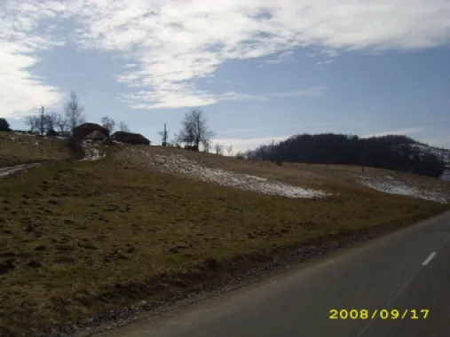 Teren intravilan Rosia, 12 000 mp, cu proiect aprobat. Comision 0.