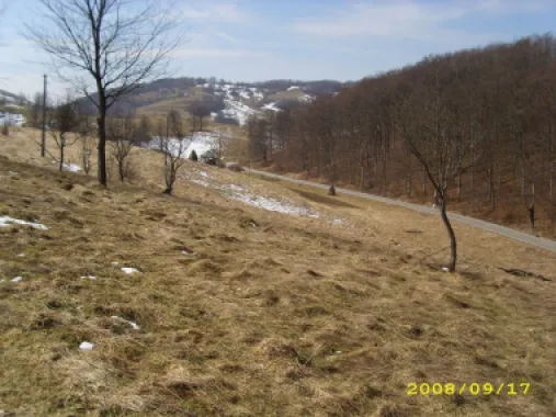 Teren intravilan Rosia, 12 000 mp, cu proiect aprobat. Comision 0.