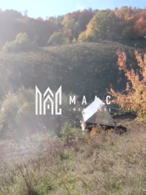 Super ofertă 35000 teren in Muntii Apuseni