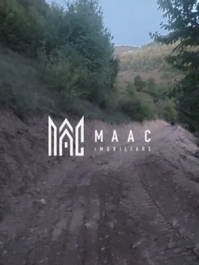 Super ofertă 35000 teren in Muntii Apuseni