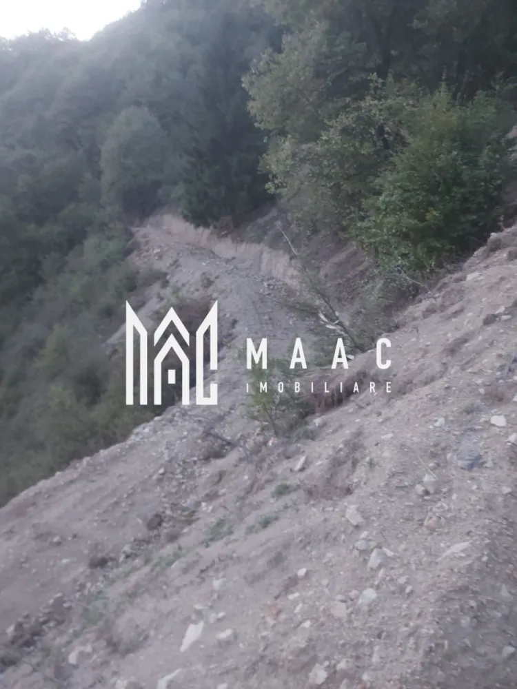 Super ofertă 35000 teren in Muntii Apuseni