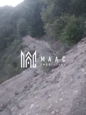 Super ofertă 35000 teren in Muntii Apuseni