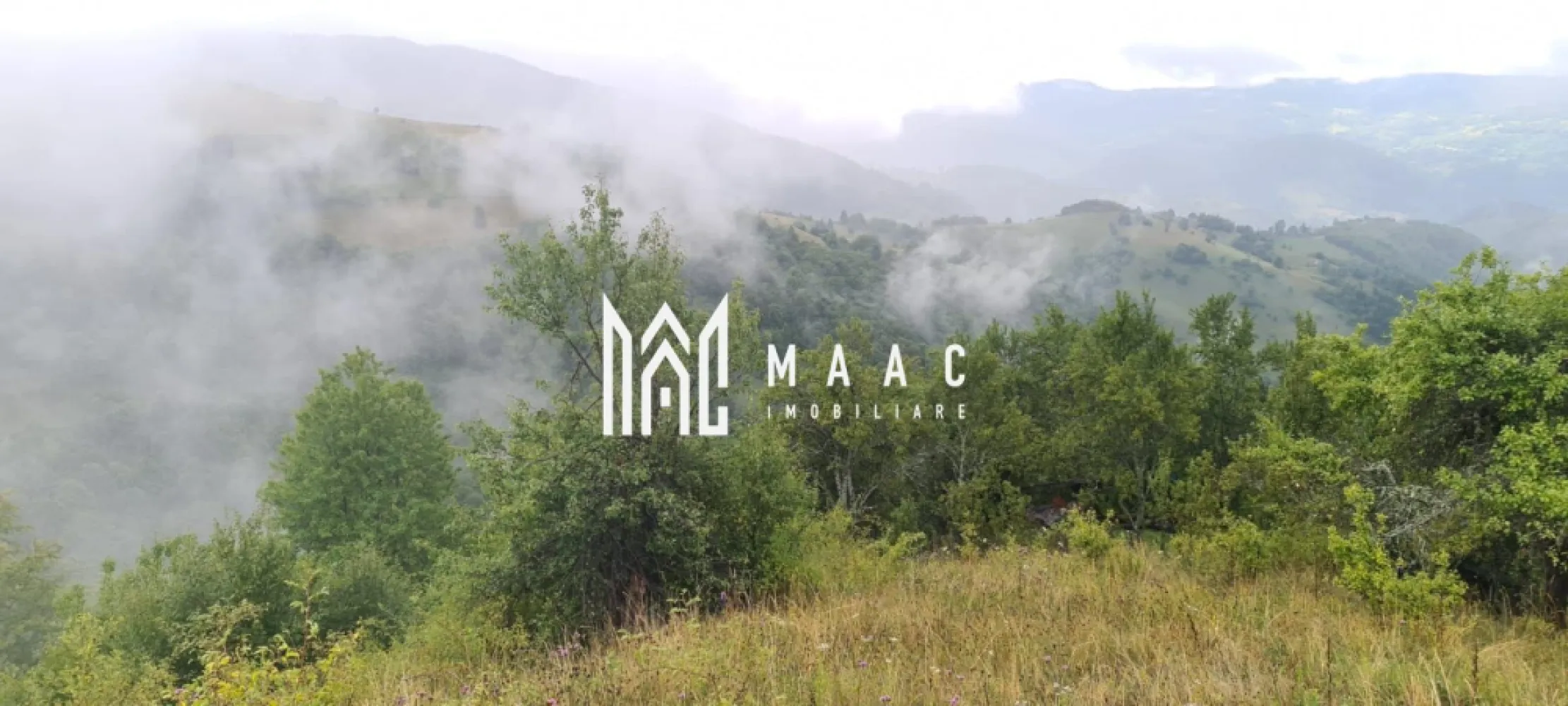 Super ofertă 35000 teren in Muntii Apuseni