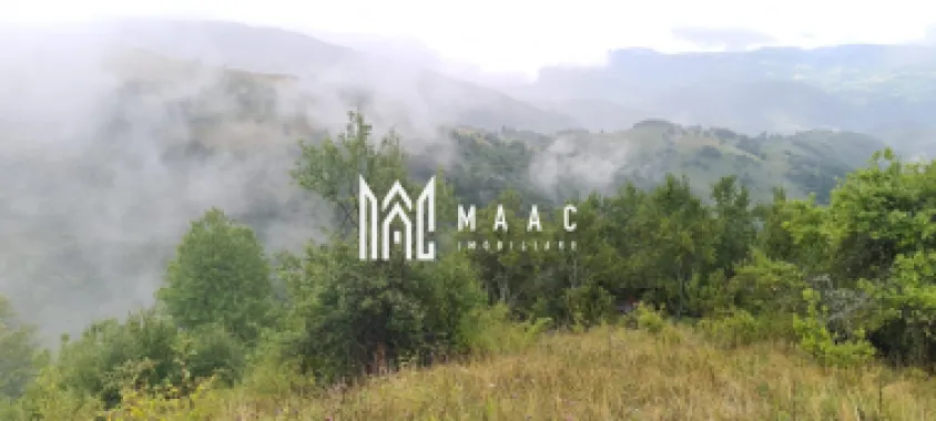 Super ofertă 35000 teren in Muntii Apuseni