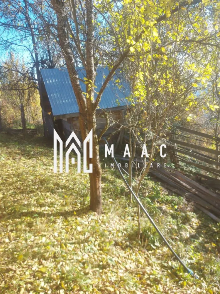 Super ofertă 35000 teren in Muntii Apuseni