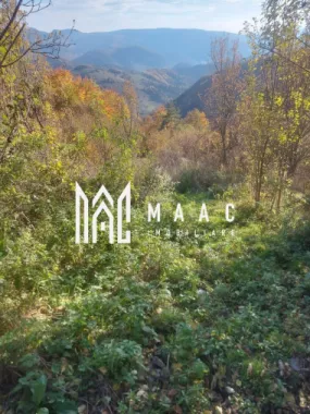 Super ofertă 35000 teren in Muntii Apuseni