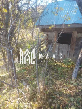 Super ofertă 35000 teren in Muntii Apuseni