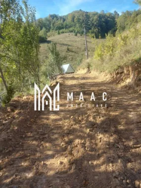 Super ofertă 35000 teren in Muntii Apuseni