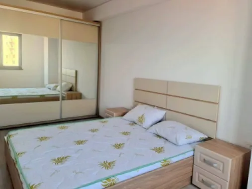 Apartament cu 2 camere, mobilat si utilat - Roka Residence, Micro 17