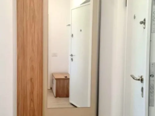 Apartament cu 2 camere, mobilat si utilat - Roka Residence, Micro 17