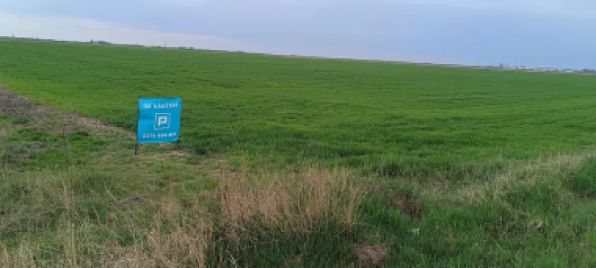 Teren extravilan 5 hectare ( zonă industrială ) Șag