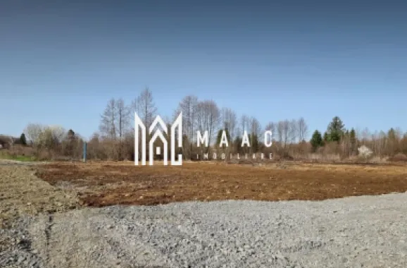 TEREN INTRAVILAN 4007 MP I VALEA AVRIGULUI