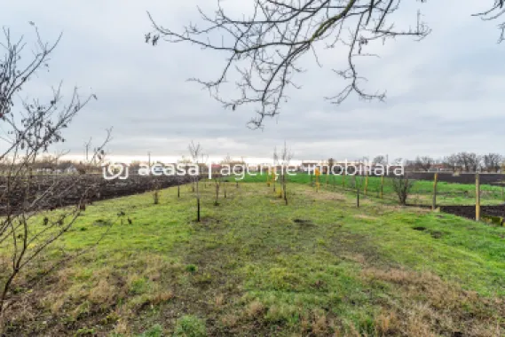 Casă + livadă tânără + curte 2.500 mp în Dorobanți