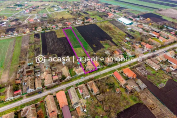 Casă + livadă tânără + curte 2.500 mp în Dorobanți