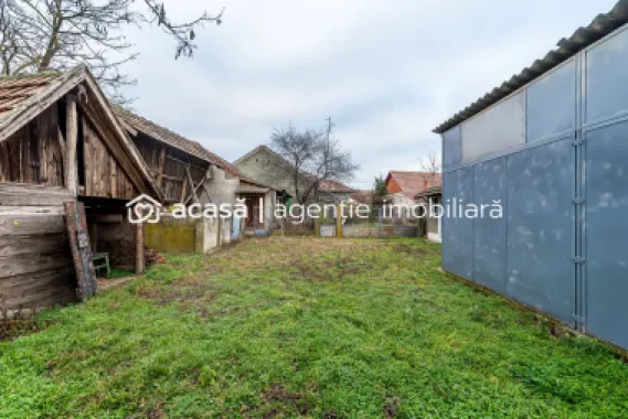 Casă + livadă tânără + curte 2.500 mp în Dorobanți
