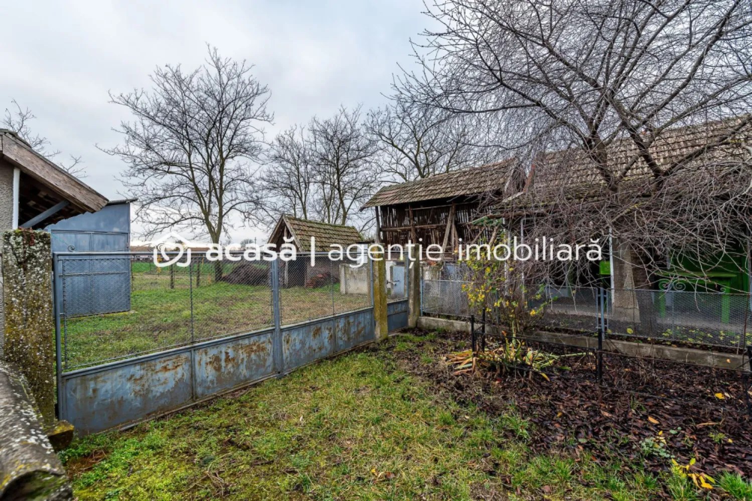 Casă + livadă tânără + curte 2.500 mp în Dorobanți